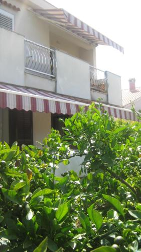 Apartments Grzunov