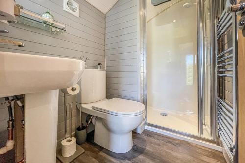 een badkamer met een toilet, een wastafel en een douche bij Riabhach in Fort William