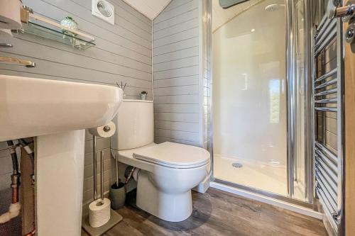 a bathroom with a toilet and a sink and a shower at Riabhach in Fort William