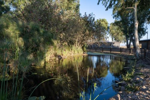 a body of water with trees and a fence at Keshet Yehonatan Country Lodging in Keshet