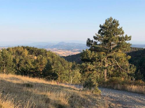 a pine tree on the side of a hill at Vikendica Stojanović in Mionica