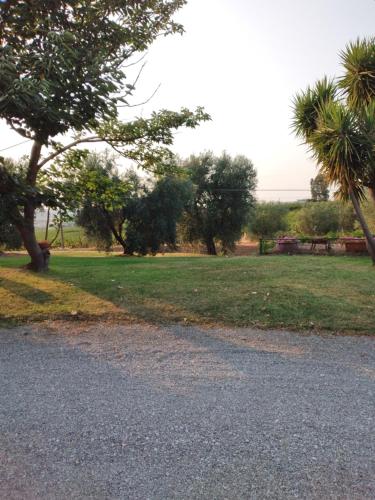 Paisaje cerca de este agroturismo