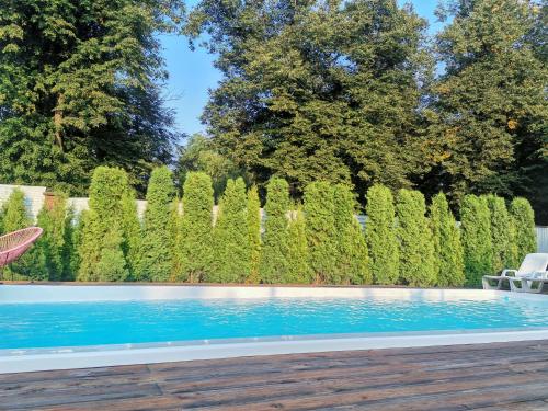 a swimming pool in front of a privacy hedge at Kavaler inn hotel in Kuty