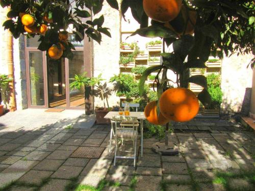 a table and chairs under an orange tree at B&B ComeinSicily CortedeiLimoni Charming & Relax in Acireale