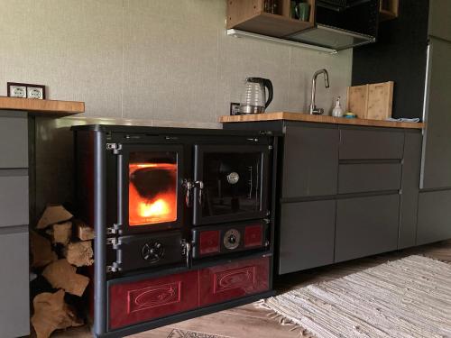 een keuken met een oven en een open haard bij Vējavas in Svettsiyems