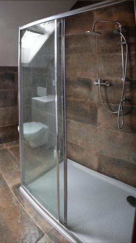 a glass shower in a bathroom with a toilet at V sadu in Lysá nad Labem
