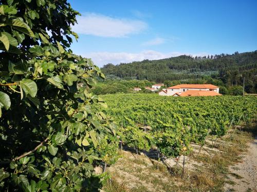 Φυσικό τοπίο κοντά σε αυτή η εξοχική κατοικία