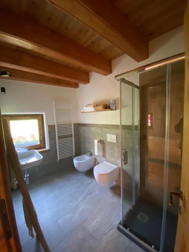 łazienka z 2 toaletami i przeszkloną kabiną prysznicową w obiekcie Giasson w mieście Valgrisenche