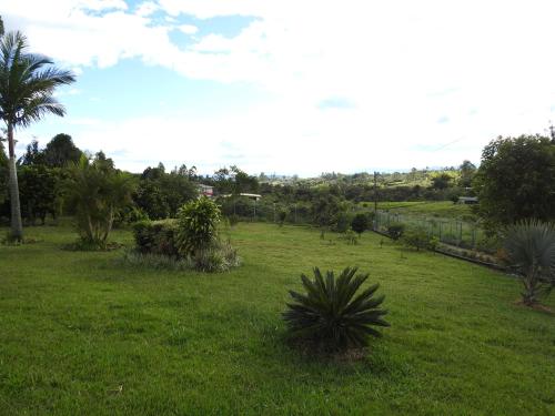 a field of grass with palm trees and a fence at Suites campestres Lodge con Jacuzzi in Calibío