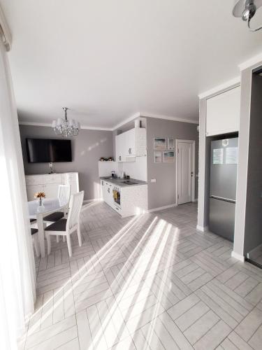 Η κουζίνα ή μικρή κουζίνα στο Luxury Apartments Park Fontanov