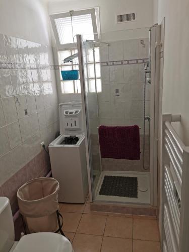 une petite salle de bain avec douche et toilettes dans l'établissement STUDIO 2 étoiles Rénové Proche des THERMES, à Lamalou-les-Bains