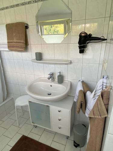 a bathroom with a sink and a mirror at Wohnung auf dem Lande in Riepsdorf