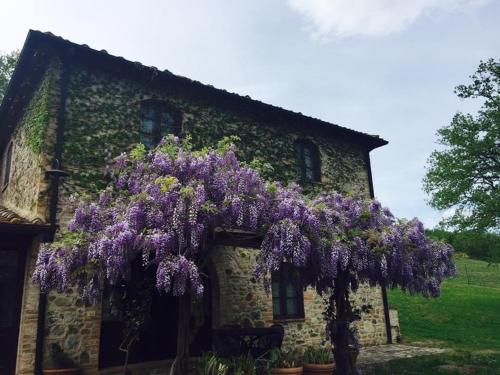 Billede fra billedgalleriet på Campagna House i Casole dʼElsa