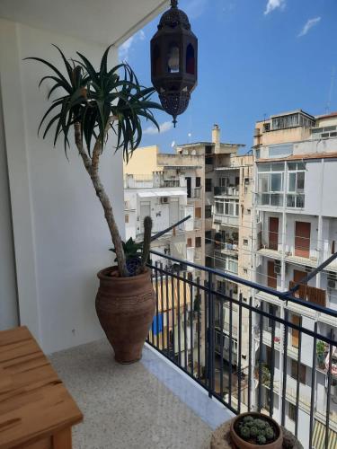 Confortevole photo 72