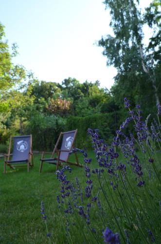 two chairs sitting in the grass in a garden at Lawendowo- sauna, basen, domki w ogrodzie i apartamenty w kamienicy in Sandomierz