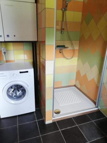 a small bathroom with a washing machine and a shower at L'évasion du berger australien in Couvin