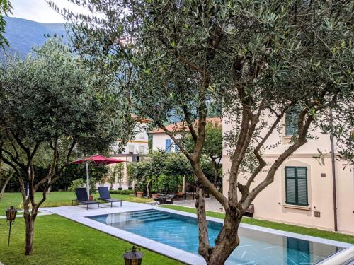 a villa with a swimming pool and trees at magnolia in Lenno