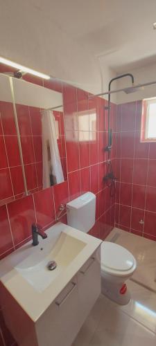 a red tiled bathroom with a toilet and a sink at Apartmani ANDRIJA in Živogošće