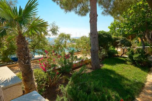 a garden with palm trees and a view of the water at Holiday Park Mandrice in Mandre