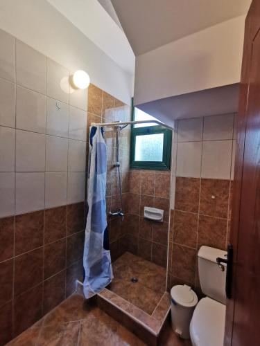 a bathroom with a shower and a toilet at VILLA VAGGELIS in Paphos