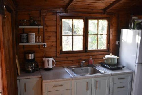Kuchyň nebo kuchyňský kout v ubytování Levantes Garden House -