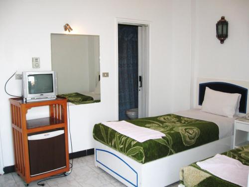 ルクソールにあるNile Valley Hotelのベッド1台とテレビが備わる小さな客室です。
