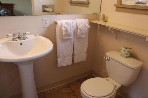 a bathroom with a white sink and a toilet at Olympus Lodge in Estes Park