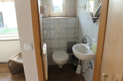 a small bathroom with a toilet and a sink at Ferienhaus Groß Dratow in Groß Dratow