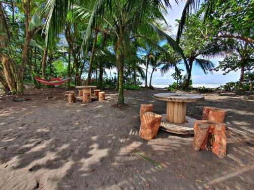 stół piknikowy i krzesła na plaży z drzewami w obiekcie Caribbean View w mieście Tortuguero