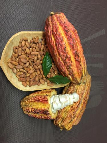 a plate of food with a peeled papaya and peanuts at La Casa De La Nonna in Quito
