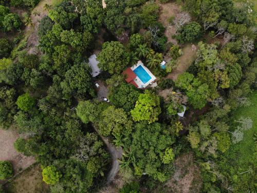 an overhead view of a house in the forest at Plasencia Estate in Omoa
