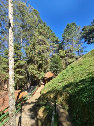 a path in a park with a grassy hill at Recanto dos Sonhos Guest House in Lumiar