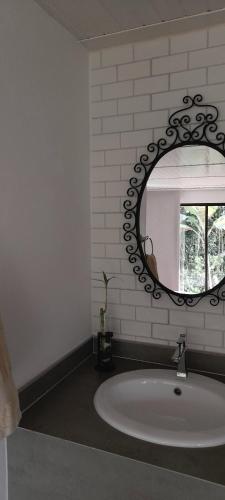 a bathroom with a sink and a mirror at Aire Libre Descanso in San Francisco