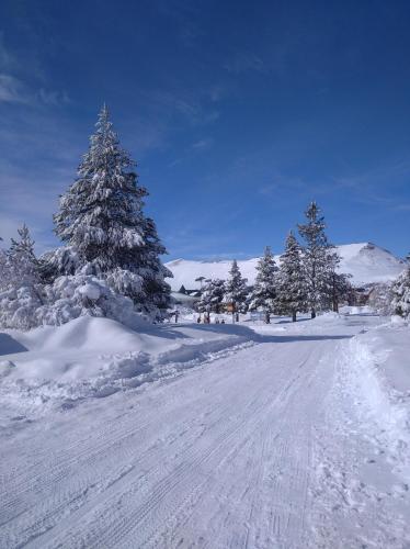 a road covered in snow with trees and mountains at La Cantonada, alojamiento turístico, Caviahue in Caviahue