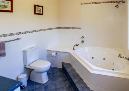 a bathroom with a toilet and a bath tub at Lochnagar Barossa in Tanunda