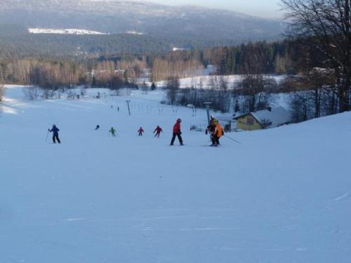 a group of people skiing down a snow covered slope at Ferienhof Guglhupf in Sankt Oswald