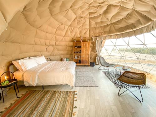 a room with a bed, chair, table and a window at Pura Eco Retreat, Jubail Island in Abu Dhabi