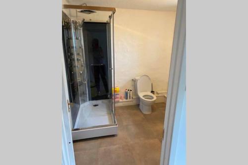 een badkamer met een douche en een toilet. bij Gîte du Bois Pennier, au calme , à 15 km des plages du Débarquement in Picauville