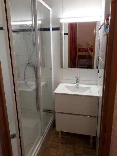 une salle de bain avec une douche, un lavabo et un miroir dans l'établissement Studio - Les Hauts d'Azur, à Saint Pierre La Mer