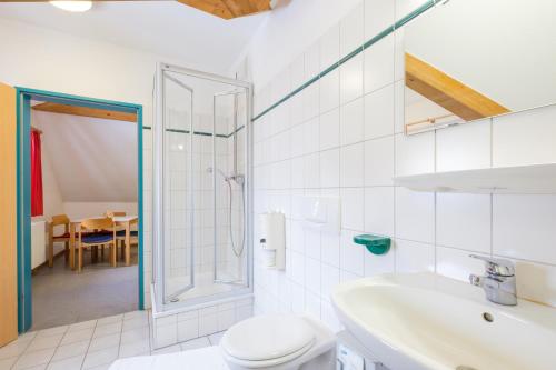 a bathroom with a toilet and a sink and a shower at Jugendherberge Burg Trausnitz in Trausnitz