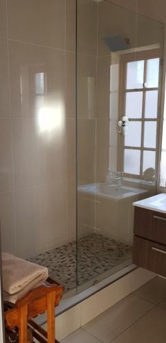 a bathroom with a shower and a tub and a sink at Protea Lodge and Cottage- NO LOADSHEDDING in Port Elizabeth