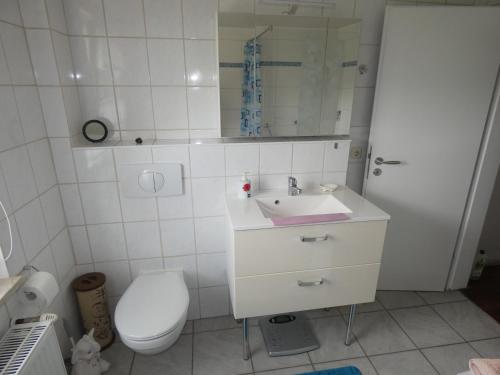 a bathroom with a sink and a toilet at Ferienwohnung am Schloss in Reuterstadt Stavenhagen