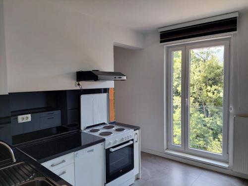 Dapur atau dapur kecil di Riverside Apartments