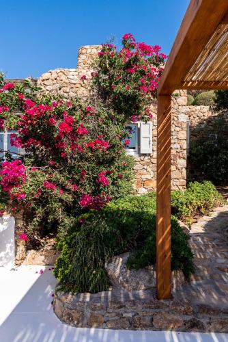 a bush with pink flowers in front of a building at Villa Artisti Mykonos in Agrari