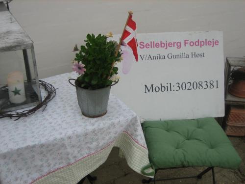a table with a potted plant on it with a sign at Sellebjerg Apartment in Bindslev