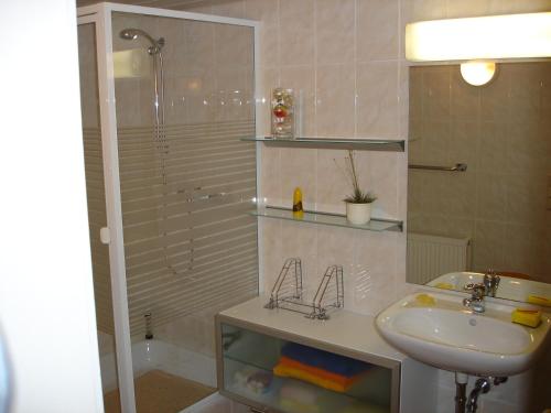 a bathroom with a sink and a shower at Haus Brockenblick in Gehlberg