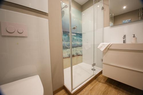 a bathroom with a shower and a toilet at Haus Uthlande Uthlande Whg 23 Lütte Bris in Wyk auf Föhr