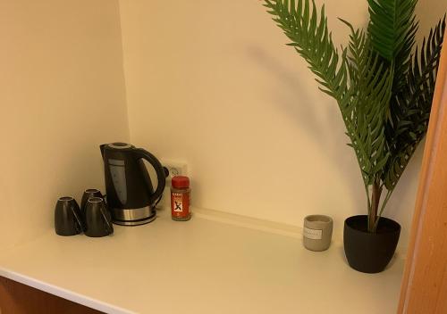 eine Theke mit einer Kaffeekanne und einer Pflanze darauf in der Unterkunft Camp Femern Bælt in Søllested