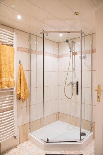 a shower with a glass door in a bathroom at Górska Kraina in Bielsko-Biała
