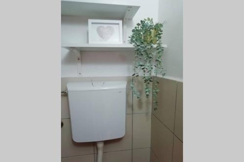 a bathroom with a toilet and a plant on the wall at Šarmantni apartman Malecka in Zagreb